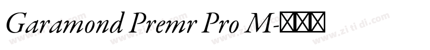 Garamond Premr Pro M字体转换